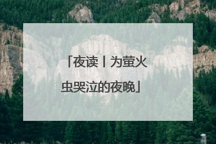 夜读丨为萤火虫哭泣的夜晚