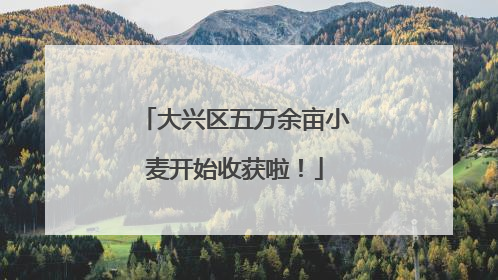 大兴区五万余亩小麦开始收获啦！