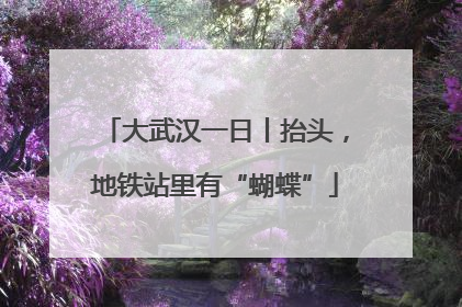大武汉一日丨抬头，地铁站里有“蝴蝶”