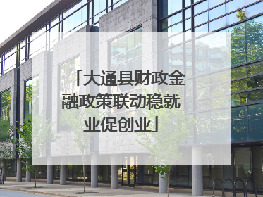 大通县财政金融政策联动稳就业促创业