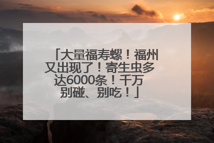 大量福寿螺！福州又出现了！寄生虫多达6000条！千万别碰、别吃！