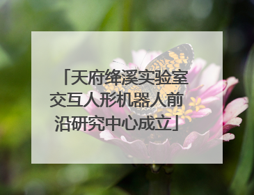 天府绛溪实验室交互人形机器人前沿研究中心成立