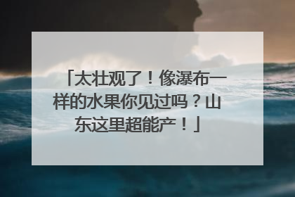 太壮观了！像瀑布一样的水果你见过吗？山东这里超能产！