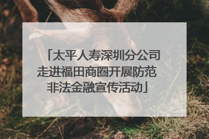 太平人寿深圳分公司走进福田商圈开展防范非法金融宣传活动