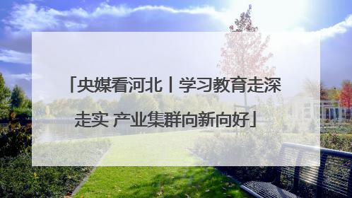 央媒看河北丨学习教育走深走实 产业集群向新向好