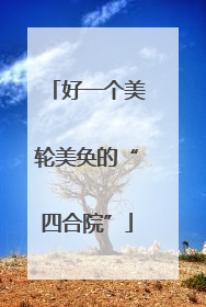 好一个美轮美奂的“四合院”