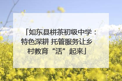 如东县栟茶初级中学：特色深耕 托管服务让乡村教育“活”起来