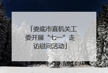 娄底市直机关工委开展“七一”走访慰问活动