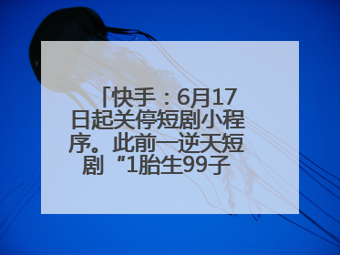 快手：6月17日起关停短剧小程序。此前一逆天短剧“1胎生99子”被全网下架