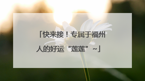 快来接！专属于福州人的好运“莲莲”~