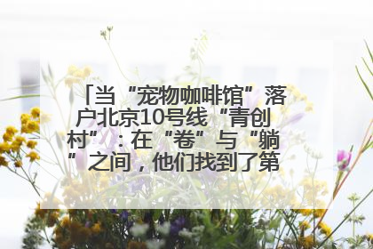 当“宠物咖啡馆”落户北京10号线“青创村”：在“卷”与“躺”之间，他们找到了第三种生活公式