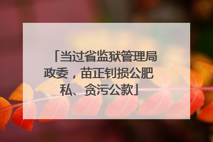 当过省监狱管理局政委，苗正钊损公肥私、贪污公款