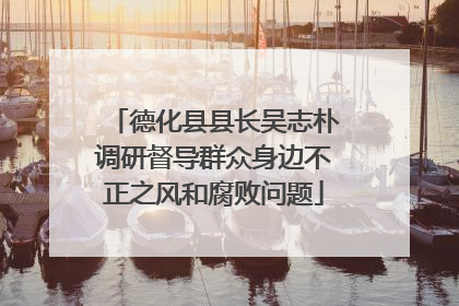 德化县县长吴志朴调研督导群众身边不正之风和腐败问题