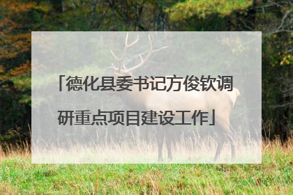 德化县委书记方俊钦调研重点项目建设工作