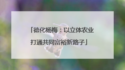 德化杨梅：以立体农业打通共同富裕新路子