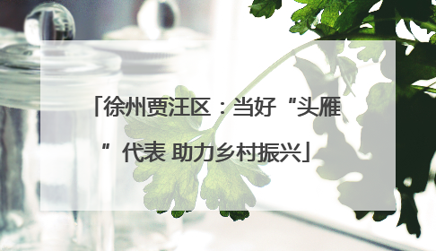 徐州贾汪区：当好“头雁”代表 助力乡村振兴