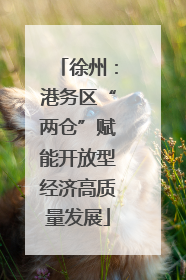 徐州：港务区“两仓”赋能开放型经济高质量发展