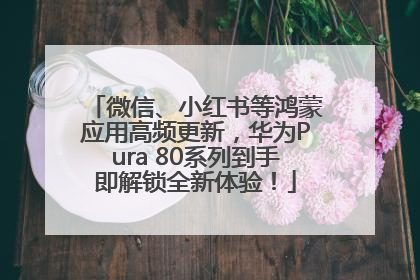 微信、小红书等鸿蒙应用高频更新，华为Pura 80系列到手即解锁全新体验！