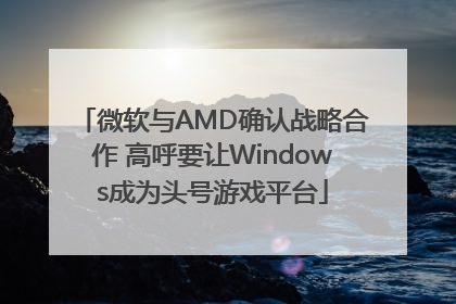 微软与AMD确认战略合作 高呼要让Windows成为头号游戏平台