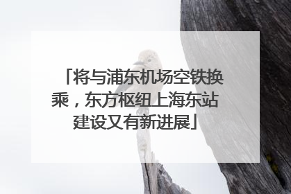 将与浦东机场空铁换乘，东方枢纽上海东站建设又有新进展