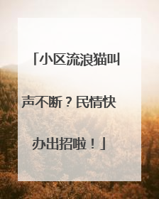 小区流浪猫叫声不断？民情快办出招啦！