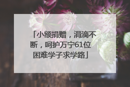 小额捐赠，涓滴不断，呵护万宁61位困难学子求学路