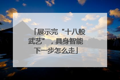 展示完“十八般武艺”，具身智能下一步怎么走