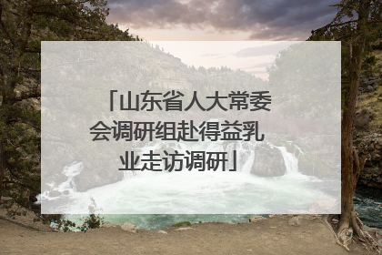 山东省人大常委会调研组赴得益乳业走访调研