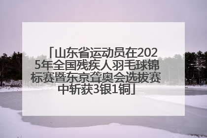 山东省运动员在2025年全国残疾人羽毛球锦标赛暨东京聋奥会选拔赛中斩获3银1铜