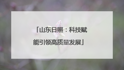 山东日照：科技赋能引领高质量发展