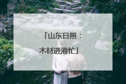 山东日照：木材进港忙