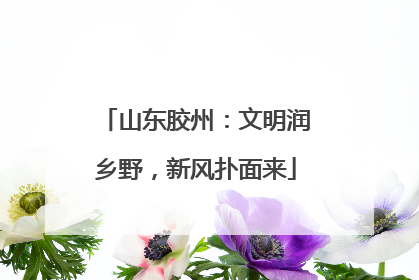 山东胶州：文明润乡野，新风扑面来