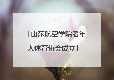 山东航空学院老年人体育协会成立