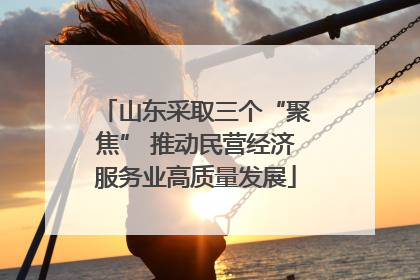 山东采取三个“聚焦” 推动民营经济服务业高质量发展