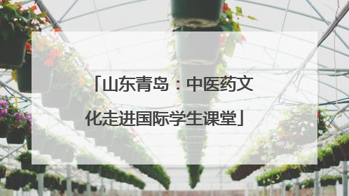 山东青岛：中医药文化走进国际学生课堂