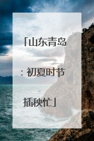 山东青岛：初夏时节插秧忙