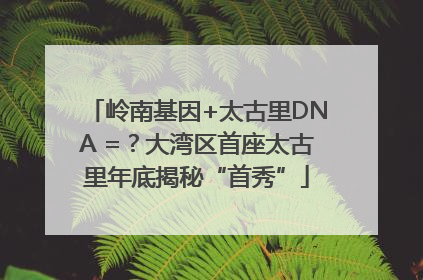 岭南基因+太古里DNA =？大湾区首座太古里年底揭秘“首秀”