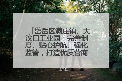 岱岳区满庄镇、大汶口工业园：完善制度、贴心护航、强化监管，打造优质营商“强磁场”