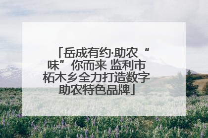 岳成有约·助农“味”你而来 监利市柘木乡全力打造数字助农特色品牌