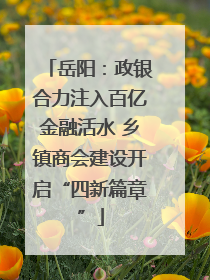 岳阳：政银合力注入百亿金融活水 乡镇商会建设开启“四新篇章”