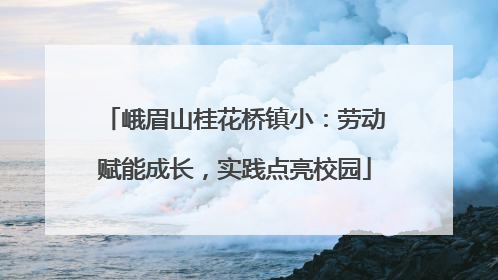 峨眉山桂花桥镇小：劳动赋能成长，实践点亮校园