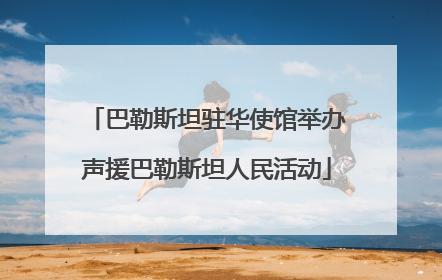 巴勒斯坦驻华使馆举办声援巴勒斯坦人民活动