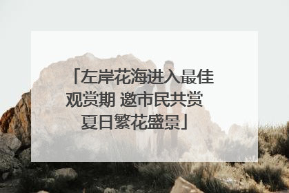 左岸花海进入最佳观赏期 邀市民共赏夏日繁花盛景