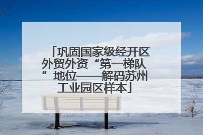 巩固国家级经开区外贸外资“第一梯队”地位——解码苏州工业园区样本