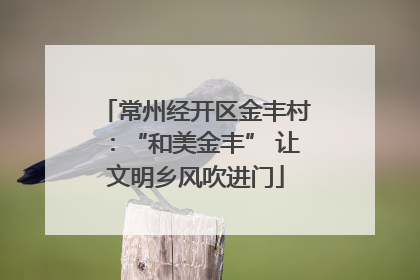 常州经开区金丰村：“和美金丰” 让文明乡风吹进门