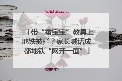 带“蚕宝宝”教具上地铁被拦？家长喊话成都地铁“网开一面”