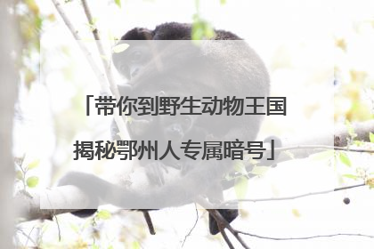 带你到野生动物王国揭秘鄂州人专属暗号