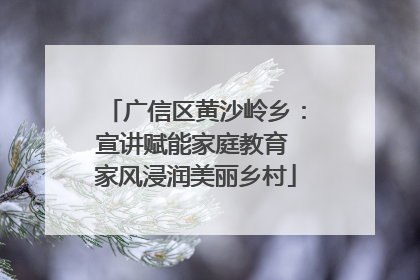 广信区黄沙岭乡：宣讲赋能家庭教育 家风浸润美丽乡村