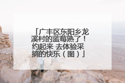 广丰区东阳乡龙溪村的蓝莓熟了！约起来 去体验采摘的快乐（图）