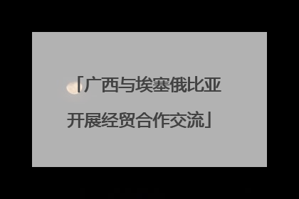 广西与埃塞俄比亚开展经贸合作交流